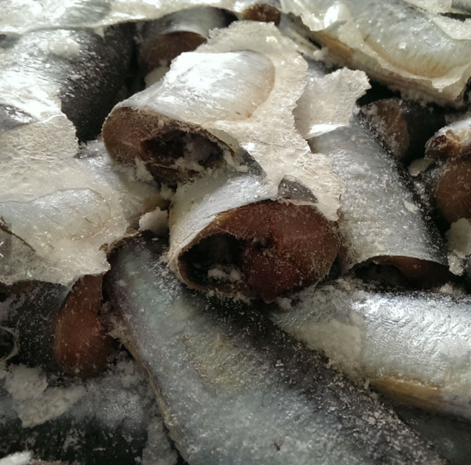 Sardine